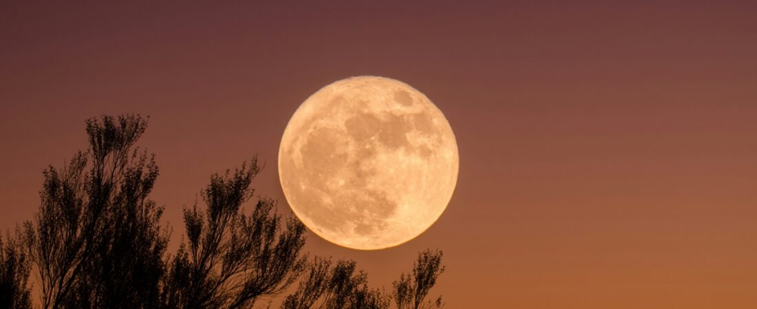 Who Actually Owns the Moon? The Answer Might Surprise You!