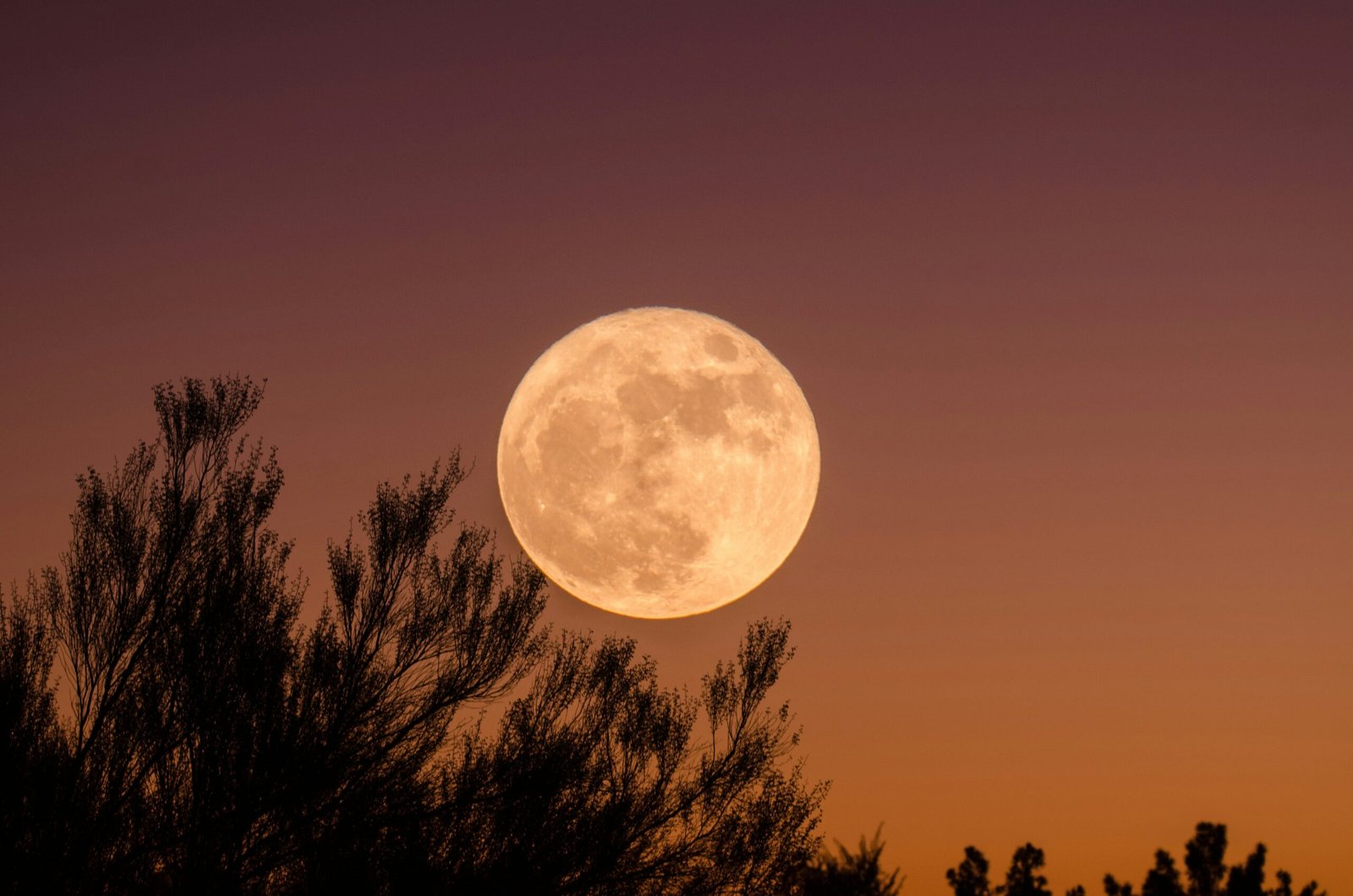 Who Actually Owns the Moon? The Answer Might Surprise You!